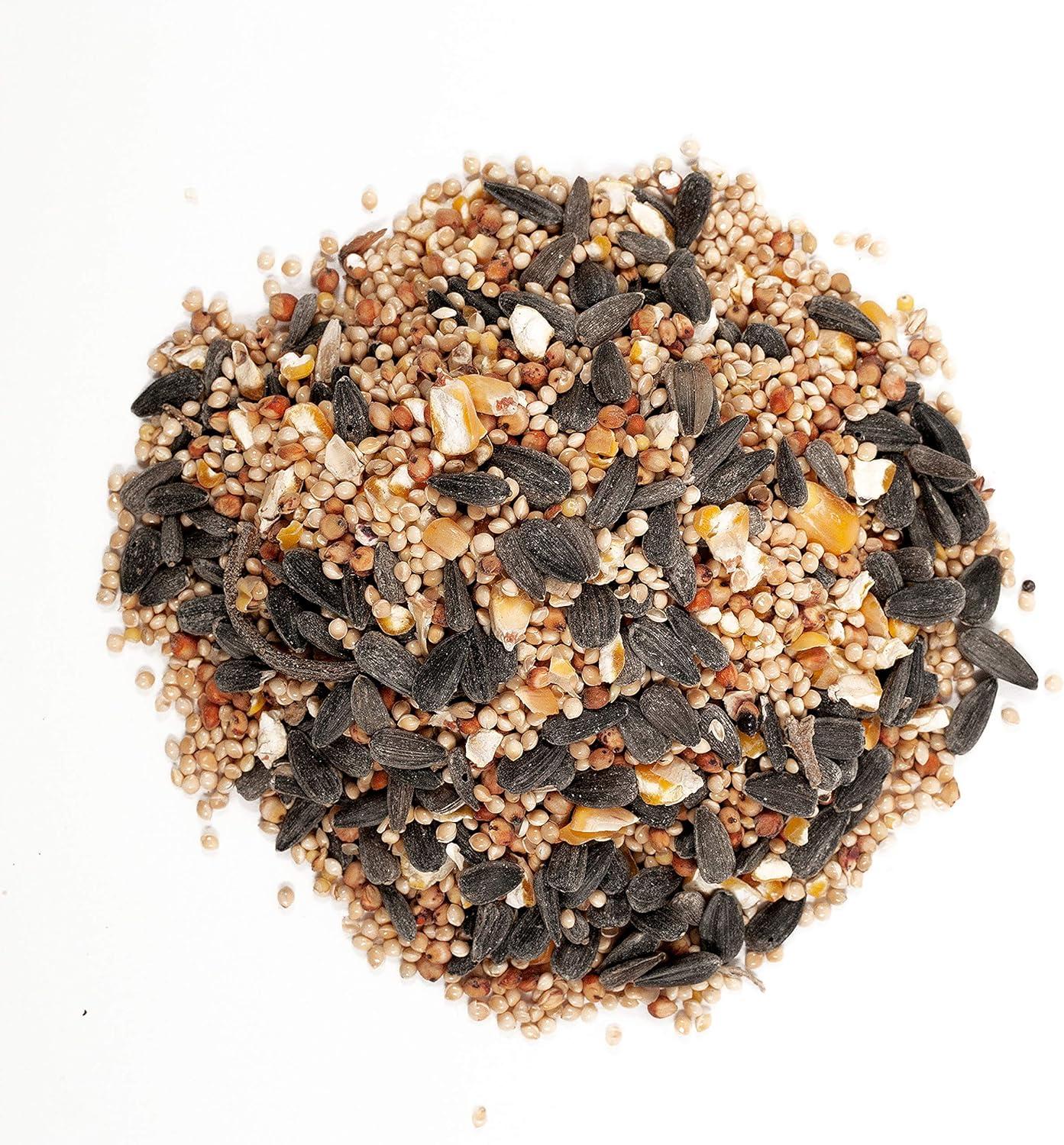 image:imageWagners 52003 Classic Blend Wild Bird Food 6Pound Bag6 Pound Pack of 1
