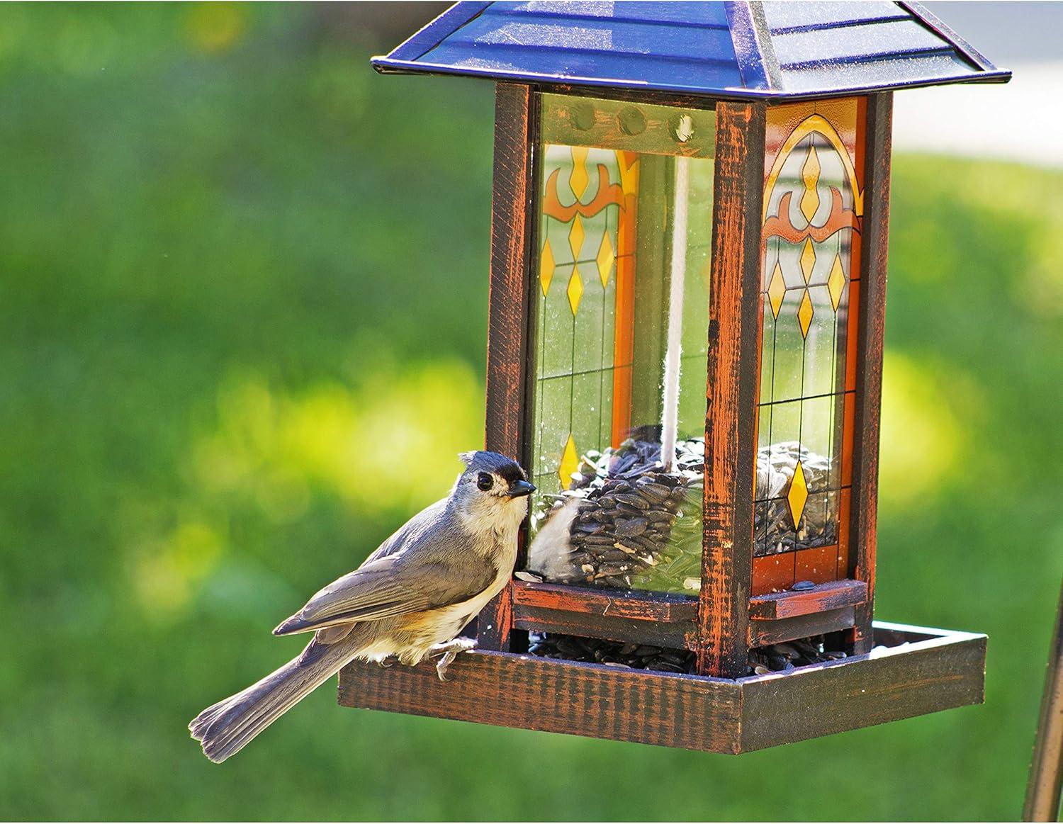 image:imageWagners 52023 Black Oil Sunflower Seed Wild Bird Food 5Pound Bag5Pound Bag