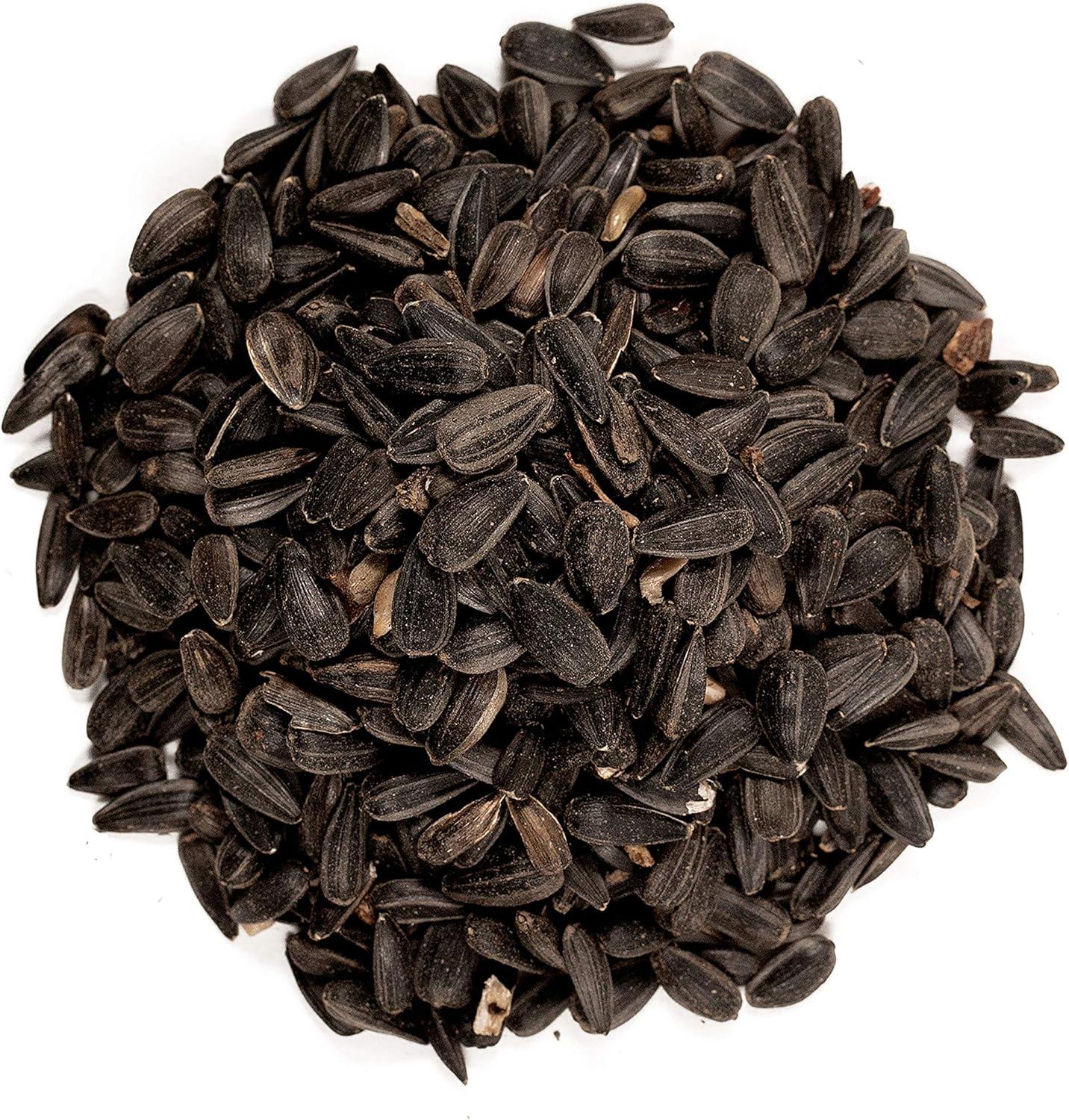 image:imageWagners 52023 Black Oil Sunflower Seed Wild Bird Food 5Pound Bag5Pound Bag