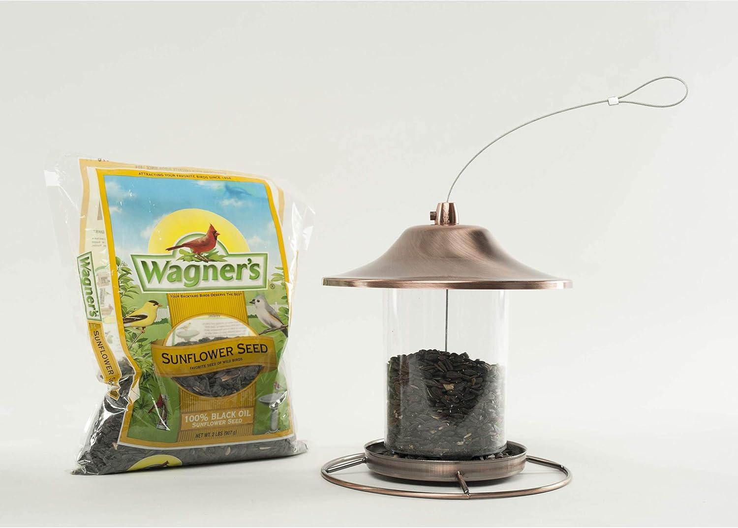 image:imageWagners 52023 Black Oil Sunflower Seed Wild Bird Food 5Pound Bag5Pound Bag