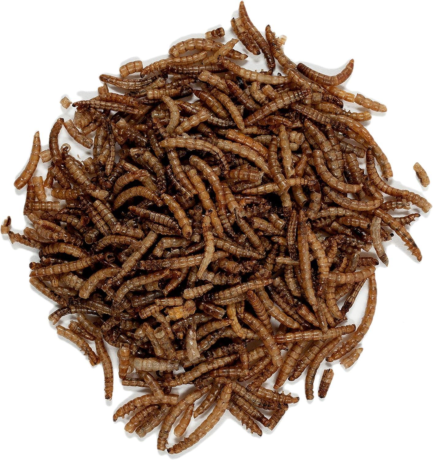 image:imageWagners 58005 Mealworms Wild Bird Food 18Ounce BagBird Food