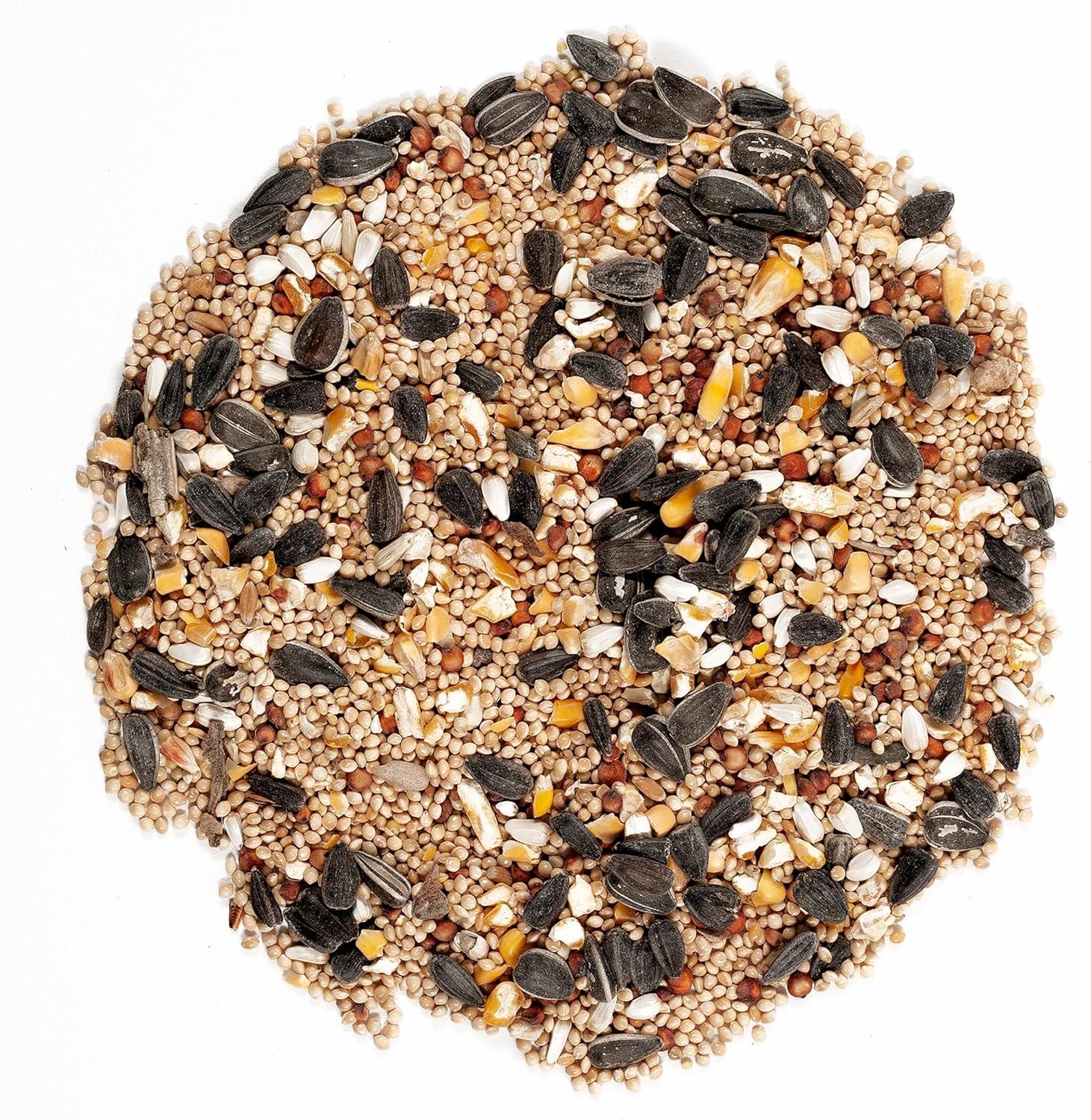 image:imageWagners 62008 Western Regional Blend Wild Bird Food 20Pound BagWild Bird Food