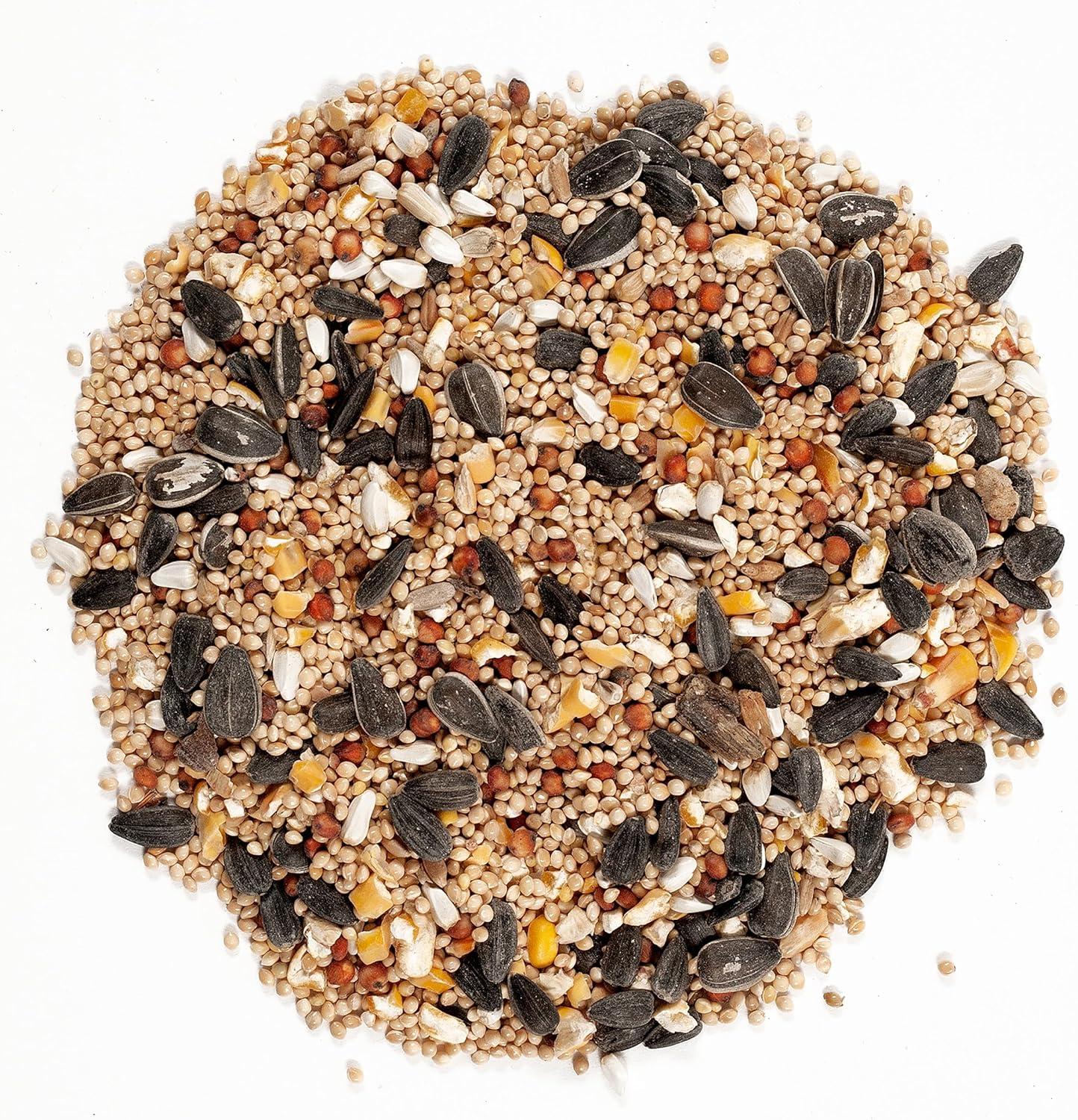 image:imageWagners 62011 Eastern Regional Blend Wild Bird Food 8Pound Bag20 Pound Pack of 1