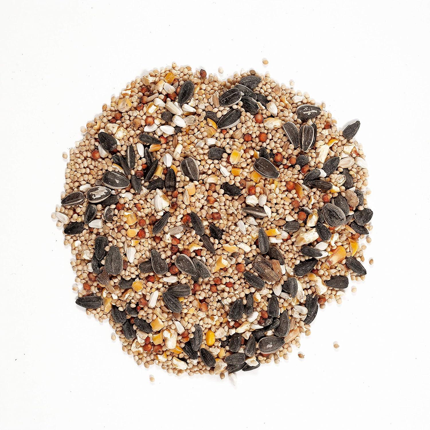image:imageWagners 62011 Eastern Regional Blend Wild Bird Food 8Pound Bag8 Pound Pack of 1