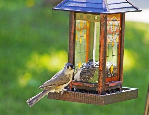 image:imageWagners 62028 Striped Sunflower Seed Wild Bird Food 5Pound Bag