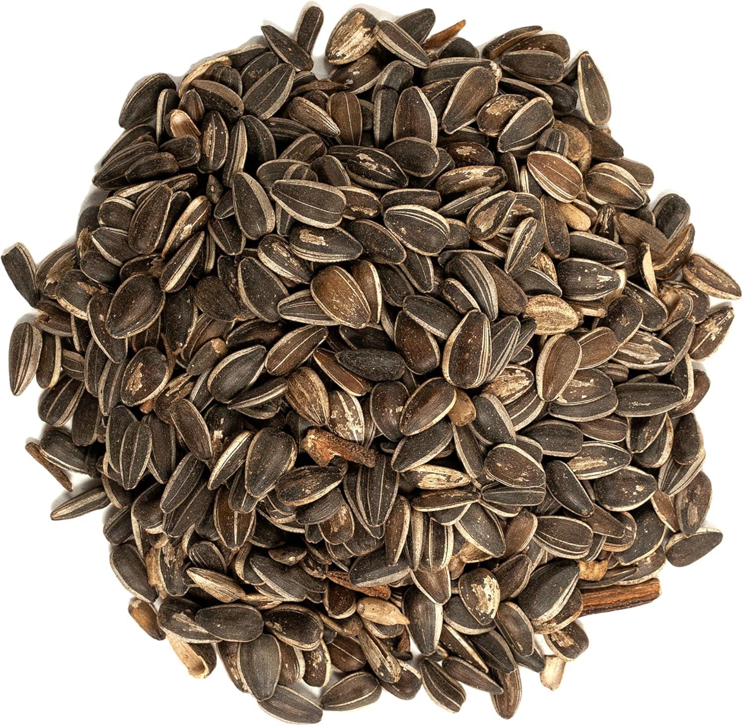 image:imageWagners 62028 Striped Sunflower Seed Wild Bird Food 5Pound Bag