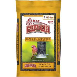 51041 40-Pound Bag, Black Oil Sunflower Wild Bird Food